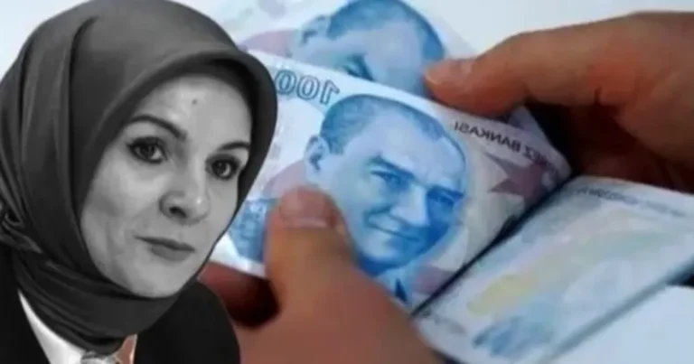 54-milyar-tllik-evde-bakim-destekleri-hesaplarda-ea8MW93i.webp
