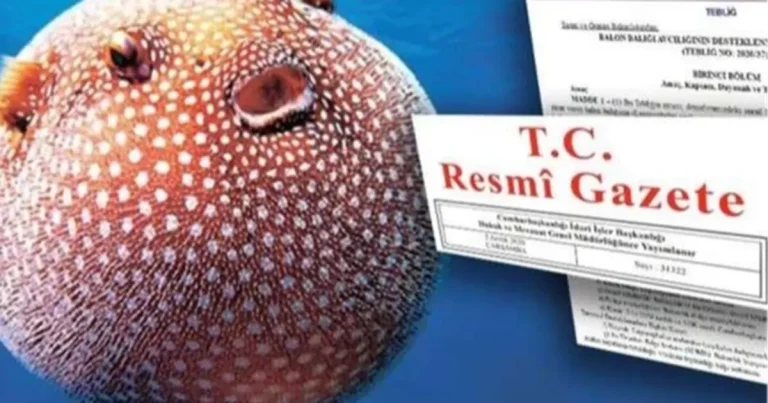 balon-baligi-avciligi-destegi-artirildi-QQvfSxLS.webp