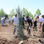 diyarbakirda-engelliler-fidan-dikerek-gelecege-nefes-oldu-p5XtrtSQ.webp