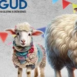 kayseri-talasta-france-irkina-ozel-festival-EkigKhzg.webp