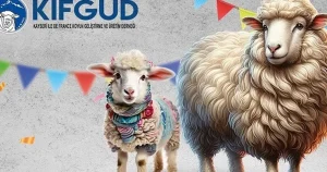 kayseri-talasta-france-irkina-ozel-festival-EkigKhzg.webp