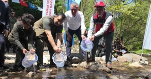 kocaeli-kirazdereye-2-yilda-16-bin-alabalik-salindi-nEk7ccve.webp