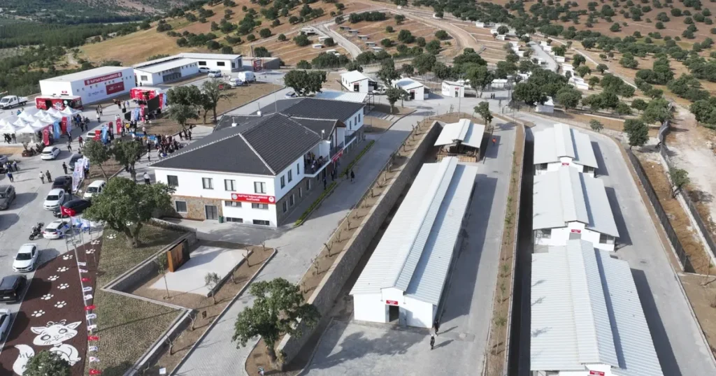 manisada-sokak-hayvanlari-icin-hayvan-yasam-merkezi-hizmete-acildi-1IeNGcX8.webp