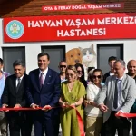 manisada-sokak-hayvanlari-icin-hayvan-yasam-merkezi-hizmete-acildi-UCZC2pIq.webp