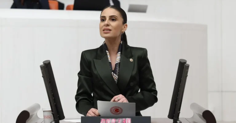 milletvekili-ozcandan-sokak-hayvanlari-icin-bakan-yumakliya-onerge-wjpzzzBQ.webp