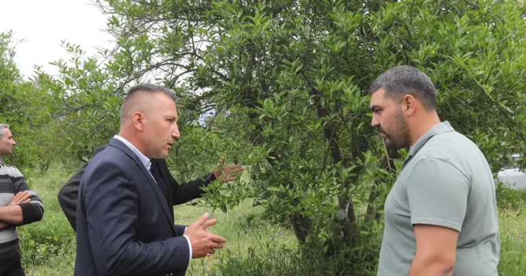 muglada-zirai-donun-yaralari-sarildi-HO2veYzy.webp