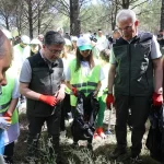 orman-yanginlarina-karsi-es-zamanli-temizlik-QOkKsRz9.webp
