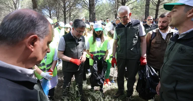 orman-yanginlarina-karsi-es-zamanli-temizlik-QOkKsRz9.webp