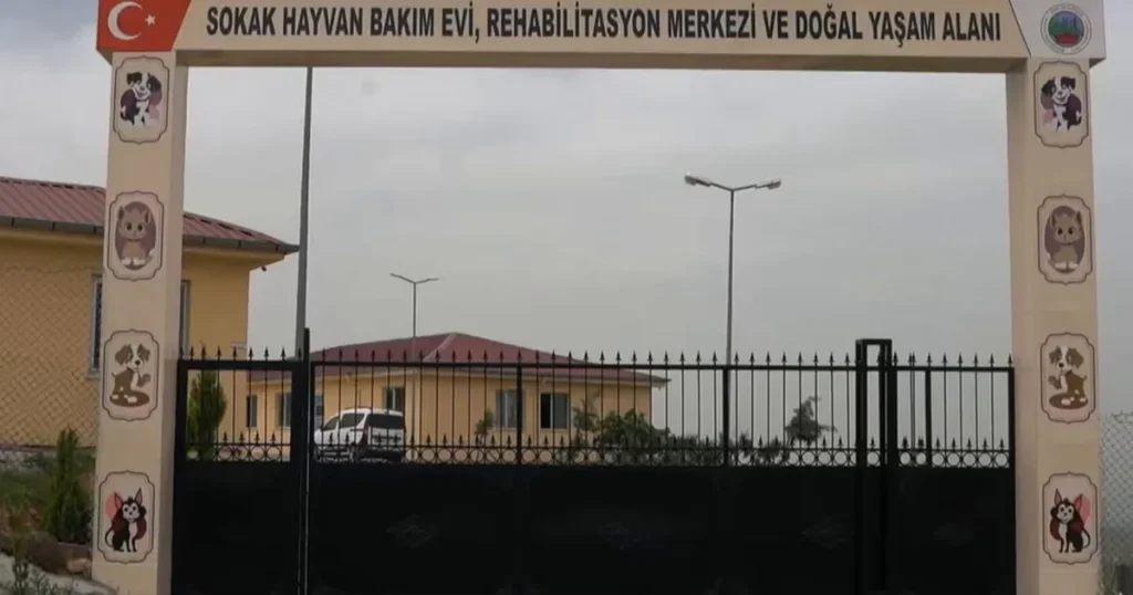 siirtte-sokak-hayvanlari-icin-dev-proje-Rf1rQeqE.webp