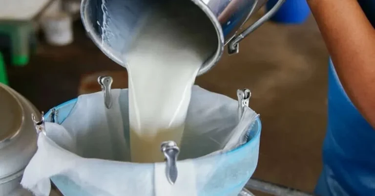 turkiyede-sut-uretimi-yukseliyor-martta-1-milyon-15-bin-ton-sut-toplandi-ZU1qGCjX.webp
