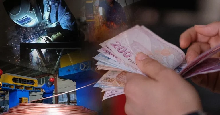 ucretli-calisan-sayisi-yillik-artti-aylik-azaldi-q4B77FRS.webp